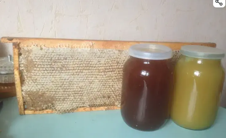 мед и продукты пчеловодства