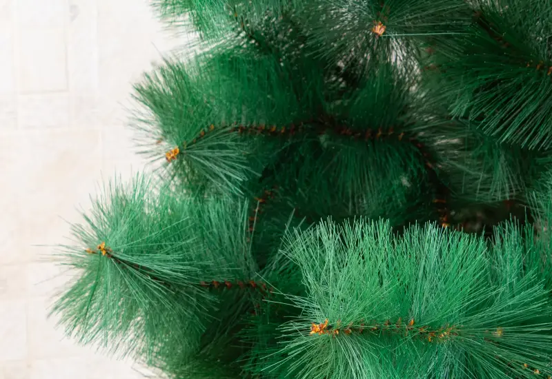 Елка - Вся Беларусь - 231049 - Доска объявлений Kupika.by - Фото 4