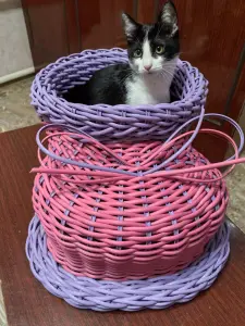 Изделия из ротанга