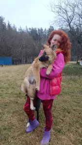 Отдам щенка в дар