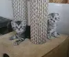 Шотландские котята - Вся Беларусь - 230437 - Доска объявлений Kupika.by