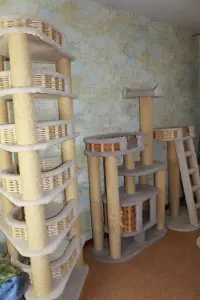 Когтеточки для кошек б/у