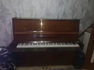 Музыкальные инструменты