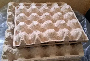 Лотки (контейнеры) на 20-30 яиц-много