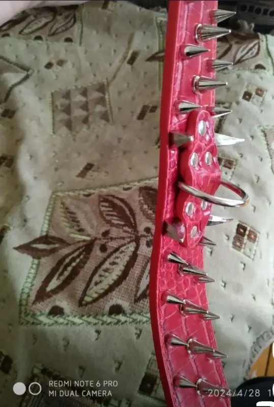 Ошейник для собак с шипами - Вся Беларусь - 232201 - Доска объявлений Kupika.by - Фото 2