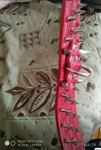 Ошейник для собак с шипами