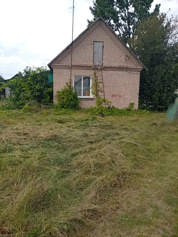 Дом  городской посёлок Желудок