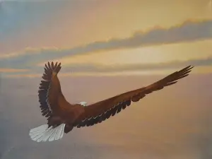 Картина маслом "Орёл над закатом"