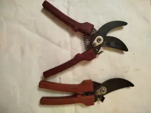 Продам секатор