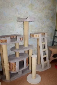 Когтеточки для кошек б/у