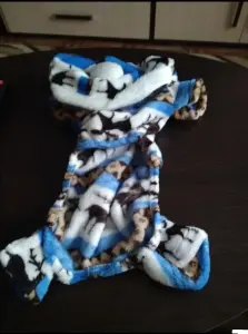 Костюм для животных