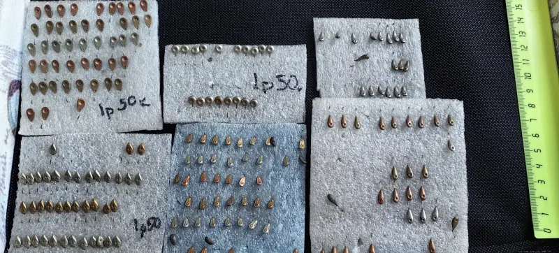 Мормышка - Вся Беларусь - 233065 - Доска объявлений Kupika.by - Фото 2