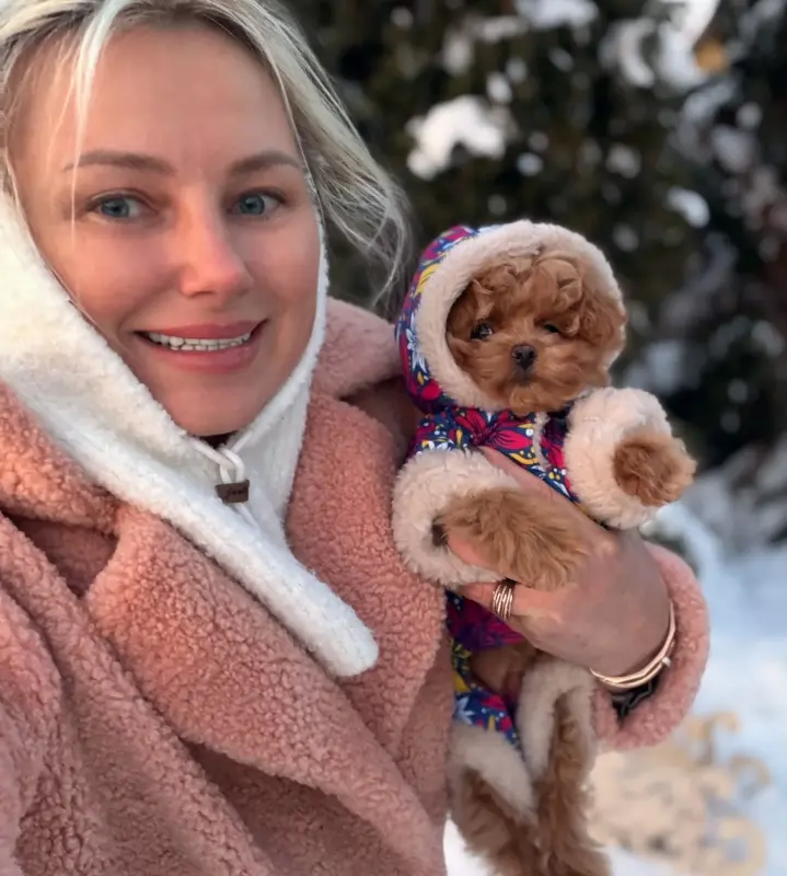 Мини и микро мальтипу пушон той пудель элита - Вся Беларусь - 234965 - Доска объявлений Kupika.by - Фото 3