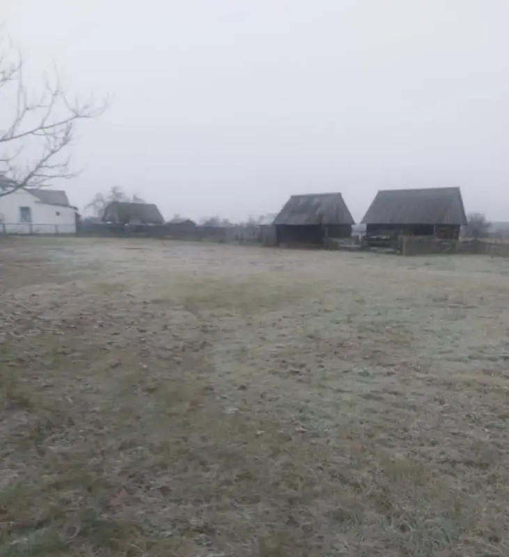 Участок - Вся Беларусь - 234240 - Доска объявлений Kupika.by - Фото 2