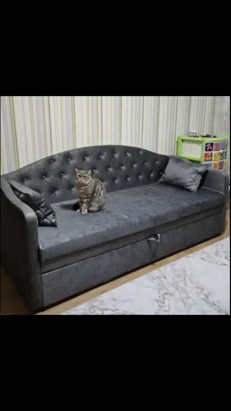 Диван-кровать Питти-2