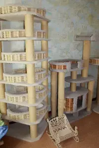 Когтеточки для кошек б/у