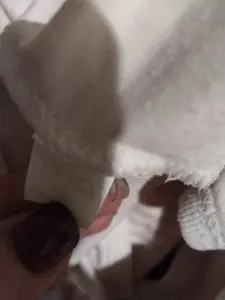 Боди для девочки 74 см