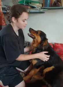 Прекрасная собака в добрые руки