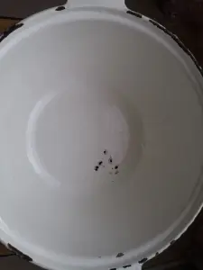 Жаровня чугунная эмалированная