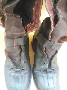 Сапоги женские зимние