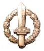 Знак Gladio. Италия. 1943-45 гг. - Вся Беларусь - 232518 - Доска объявлений Kupika.by