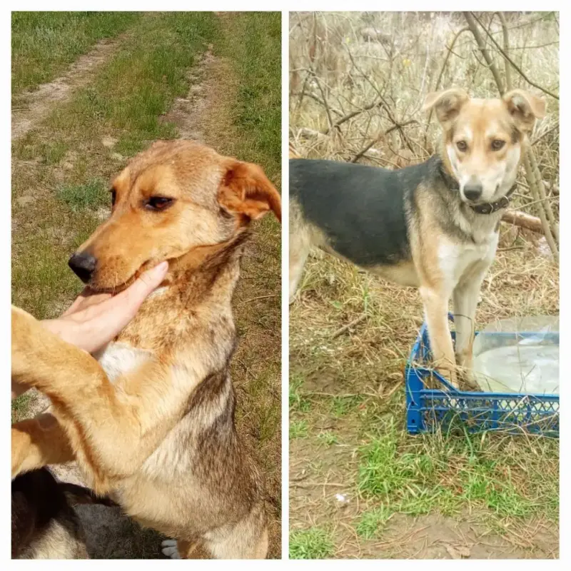 Где же наш дом!