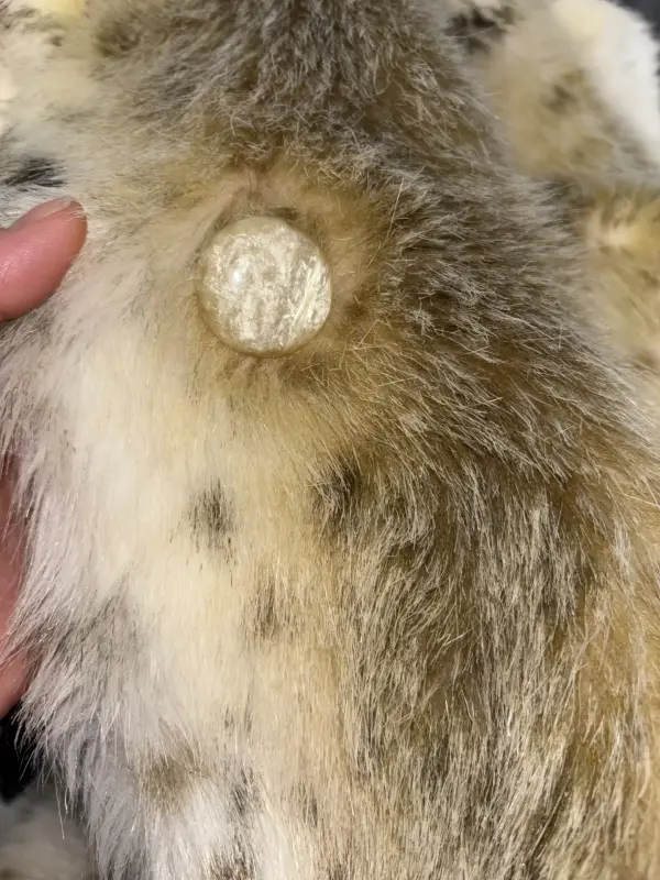 Шуба женская искусственная 48-50 размер - Вся Беларусь - 234981 - Доска объявлений Kupika.by - Фото 5