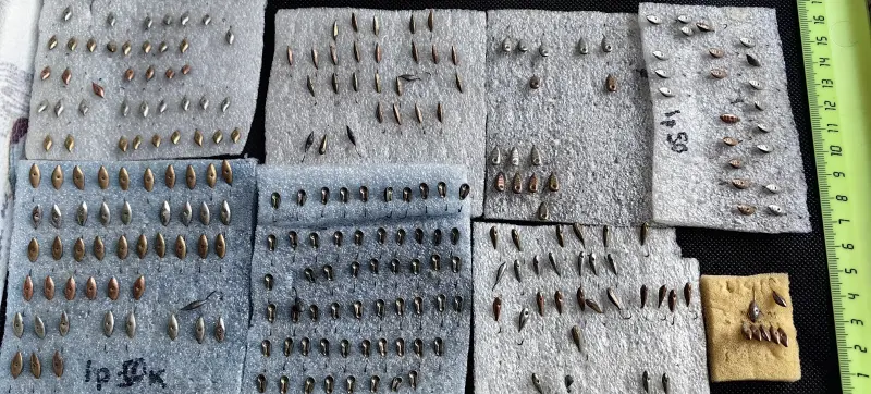 Мормышка - Вся Беларусь - 233065 - Доска объявлений Kupika.by - Фото 3