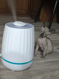 Канадский сфинкс