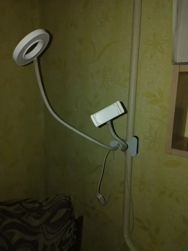 кольцевая лампа 3 света