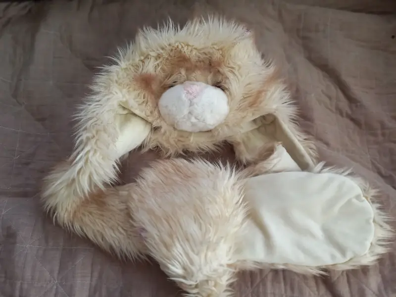 Котошапка. - Вся Беларусь - 233482 - Доска объявлений Kupika.by - Фото 2