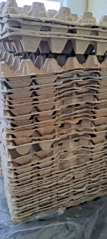 Лотки (контейнеры) на 20-30 яиц-244шт