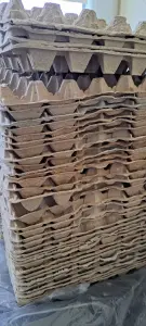 Лотки (контейнеры) на 20-30 яиц-244шт