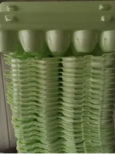 Лотки для яиц