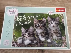 Настольные игры (мозаика-puzzle)