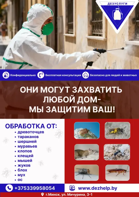 Если у вас беда: деинсекция