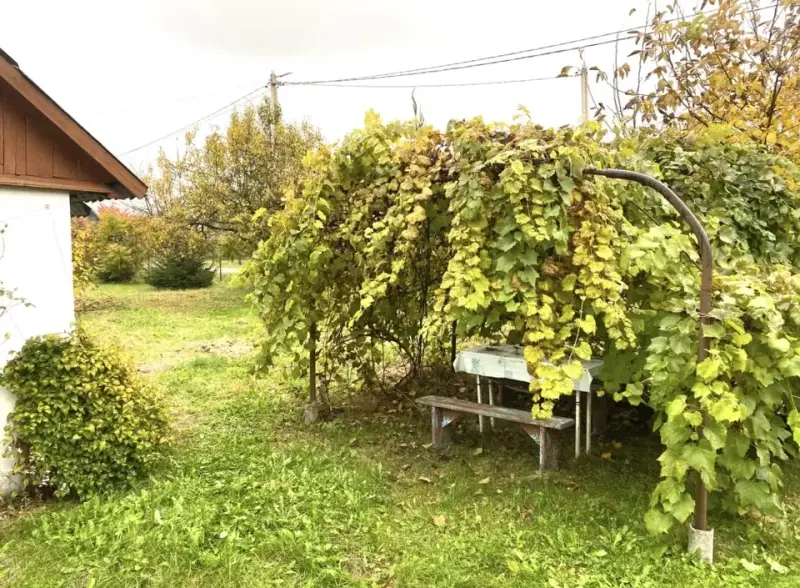 Продажа домов агрогородок Линово - Вся Беларусь - 234595 - Доска объявлений Kupika.by - Фото 6