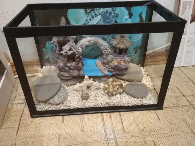 Аквариум с комплектом, бу