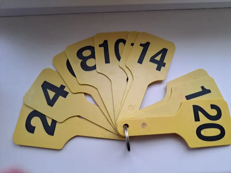 Набор желтый цифр-веера двухстороннего от 1-20 пластиковый, б.у - Вся Беларусь - 233066 - Доска объявлений Kupika.by - Фото 2