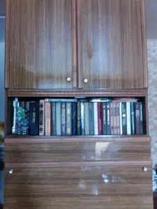 Часть секции "Свирь"