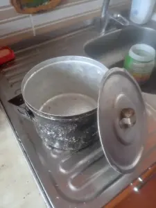 Примус шмель4