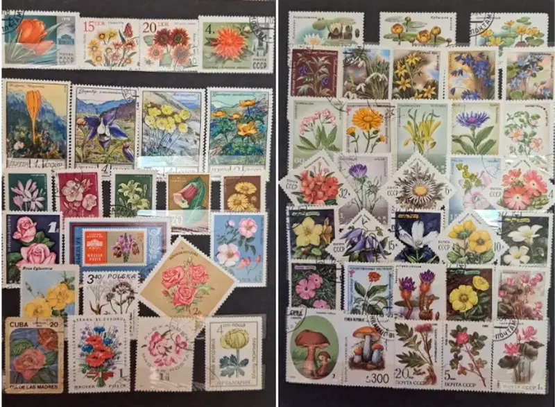 Альбом с марками-310шт - Вся Беларусь - 236555 - Доска объявлений Kupika.by - Фото 8