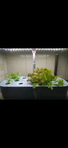 Гидропонная система для выращивания растений