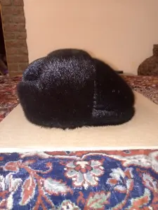Шапка-кепка из нерпы