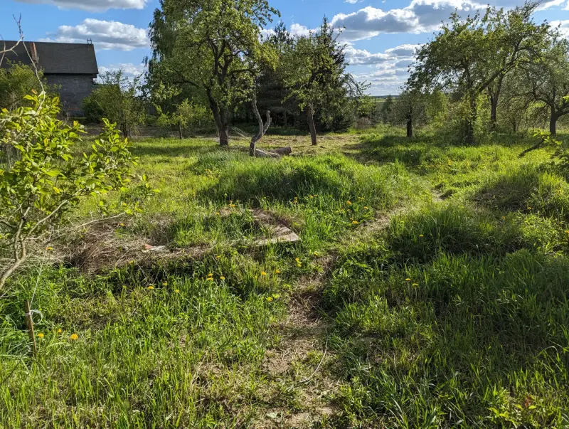 Продажа земельных участков - Участок 73 сотки в деревне под строительство и обслуживание жилого дома - Вся Беларусь - Фото 4 Участок 73 сотки в деревне под строительство и обслуживание жилого дома - Вся Беларусь - 237719 - Доска объявлений Kupika.by - Фото 4