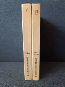 Книги. Роман в 2 книгах. Щит и Меч.