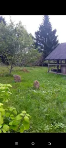 Участок с домом  деревня Межно