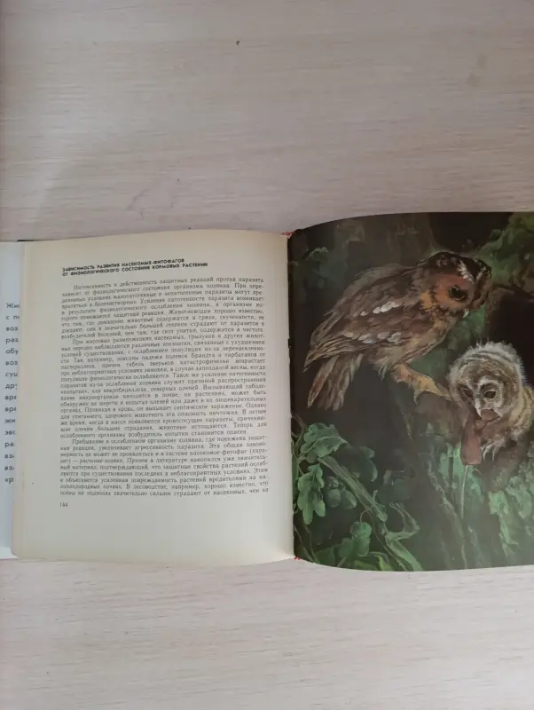 Книга. Животные и растения. - Вся Беларусь - 236472 - Доска объявлений Kupika.by - Фото 7