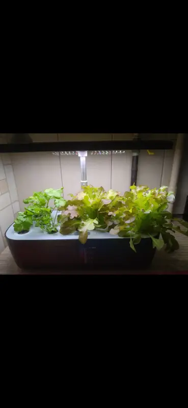 Техника для дома - Гидропонная система для выращивания растений - Вся Беларусь - Фото 6 Гидропонная система для выращивания растений - Вся Беларусь - 235822 - Доска объявлений Kupika.by - Фото 6