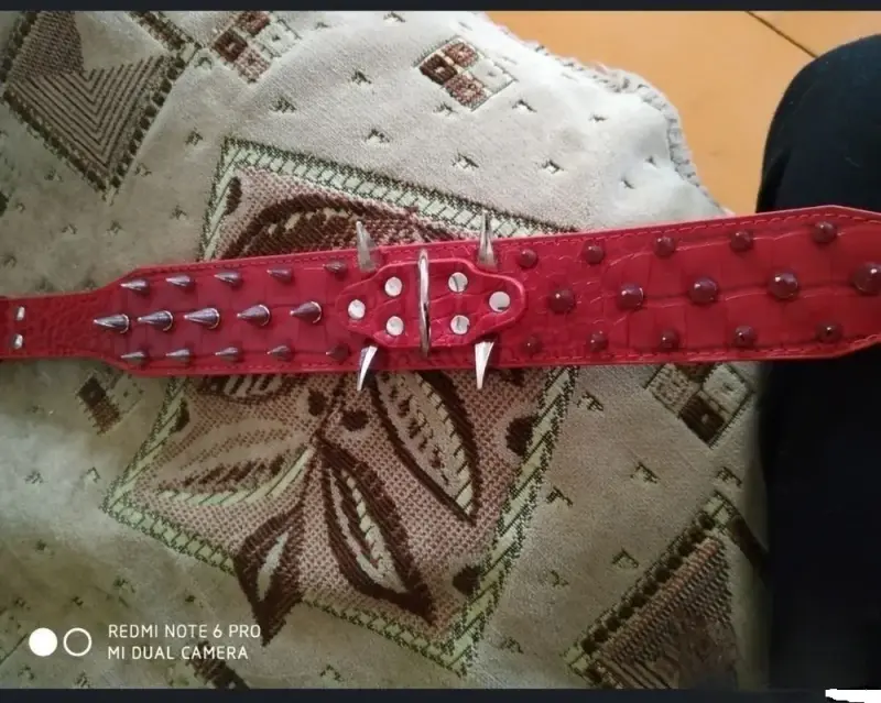 Ошейник для собак с шипами - Вся Беларусь - 235880 - Доска объявлений Kupika.by - Фото 3